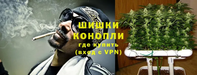 Бошки Шишки THC 21%  Шагонар 